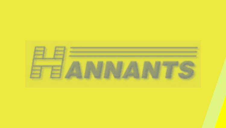 Es Hannants un sitio confiable para comprar?