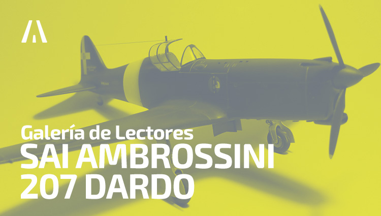 Galería de lectores: SAI Ambrossini 207 “Dardo”
