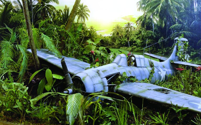Missing in Action: un Wildcat perdido en la selva