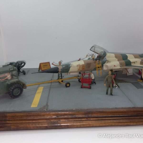 Aggressor F-5 – foto 10