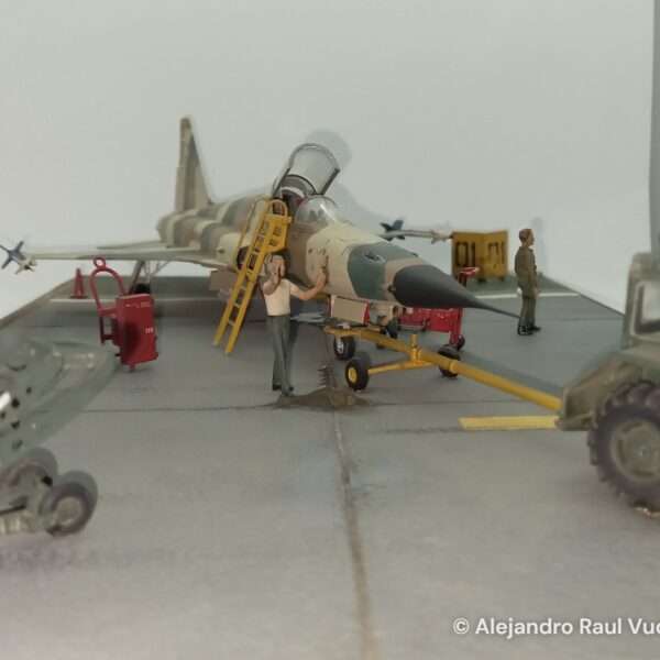 Aggressor F-5 – foto 3