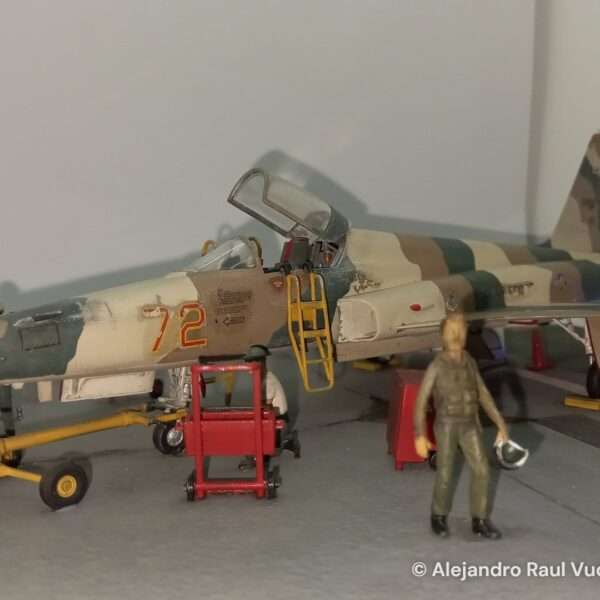 Aggressor F-5 – foto 6