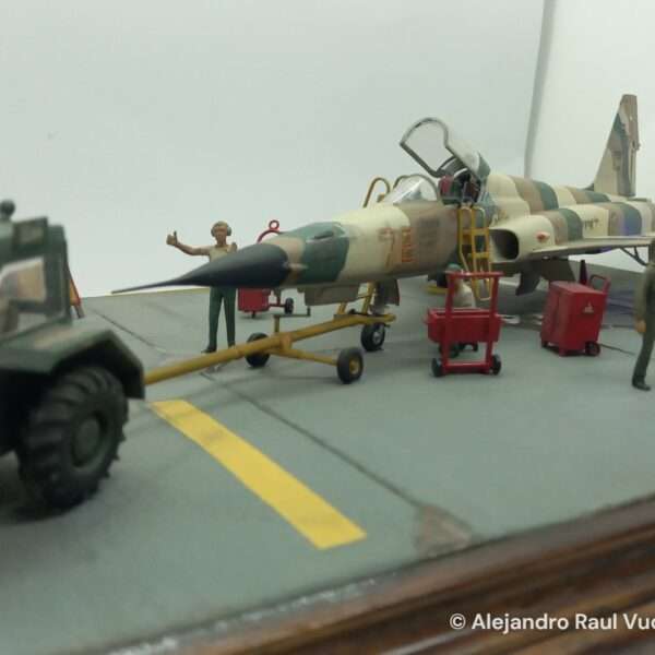 Aggressor F-5 – foto 8