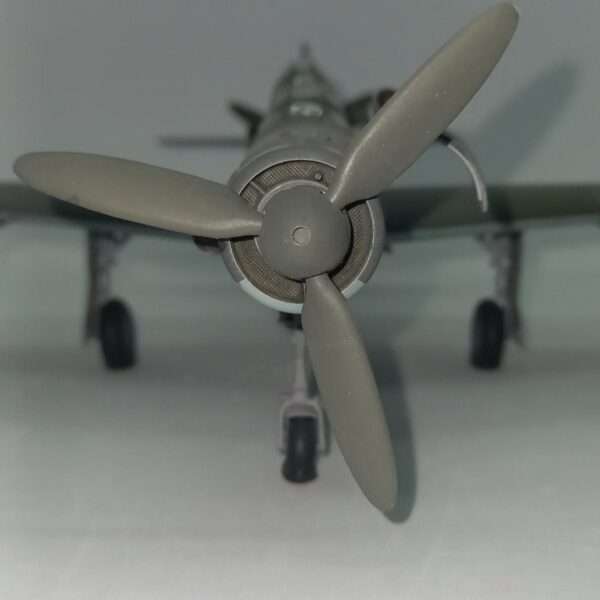 Dornier Do 335 Arrow – foto 6