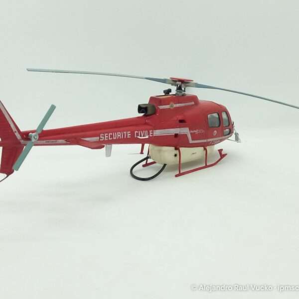 Écureuil Bombardier d’eau – foto 3