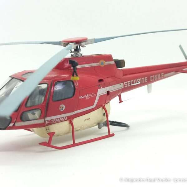 Écureuil Bombardier d’eau – foto 7