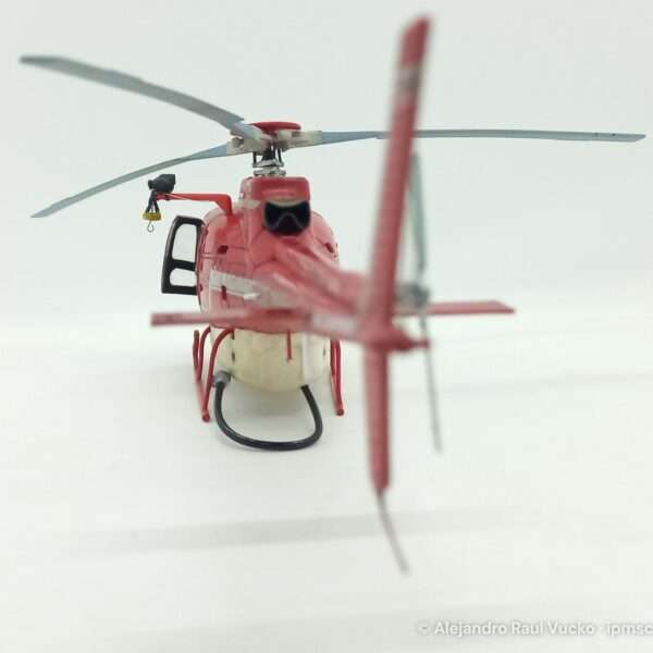 Écureuil Bombardier d’eau – foto 9