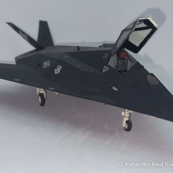 F-117A Stealth – The “Ghost” of Baghdad – foto 3