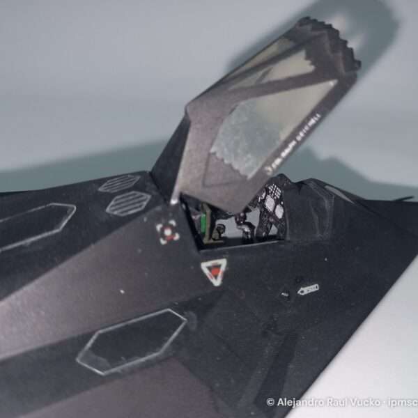 F-117A Stealth – The “Ghost” of Baghdad – foto 4