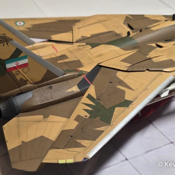 F-14A IRIAF – foto 4