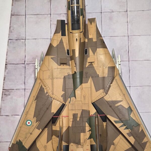 F-14A IRIAF – foto 7