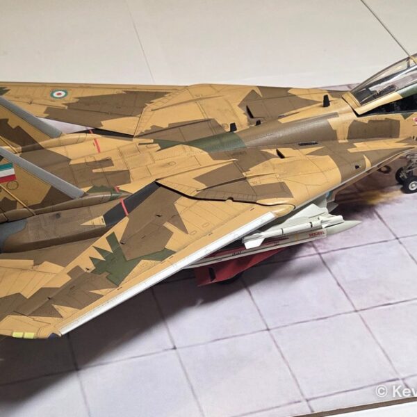 F-14A IRIAF – foto 8