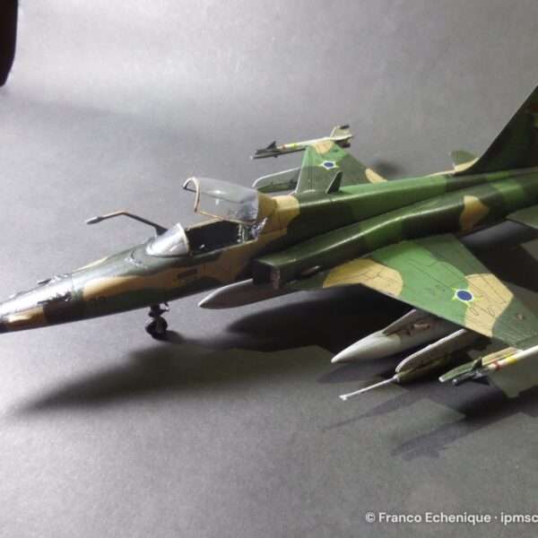 F5 TIGER II – foto 4
