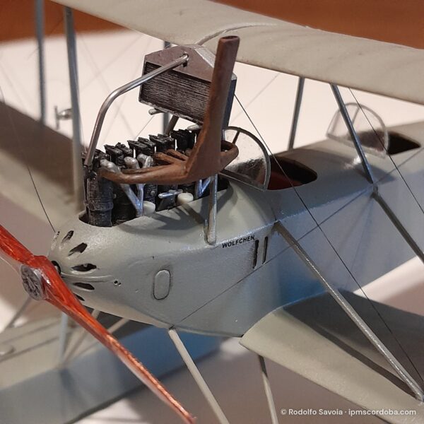 Friedishaffen FF22 – foto 4