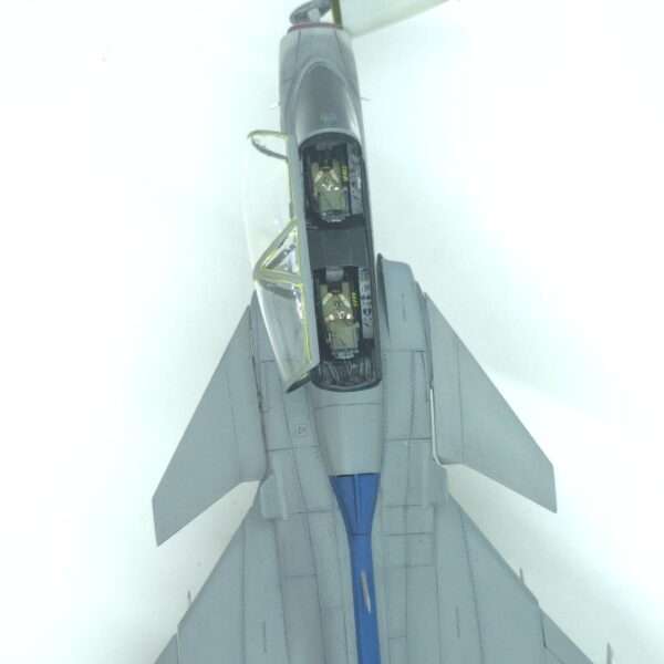 JAS 39 Gripen Twin Seater ETPS – foto 2