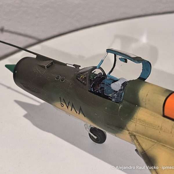 MiG-21 – Fuerza Aérea Egipcia – foto 6