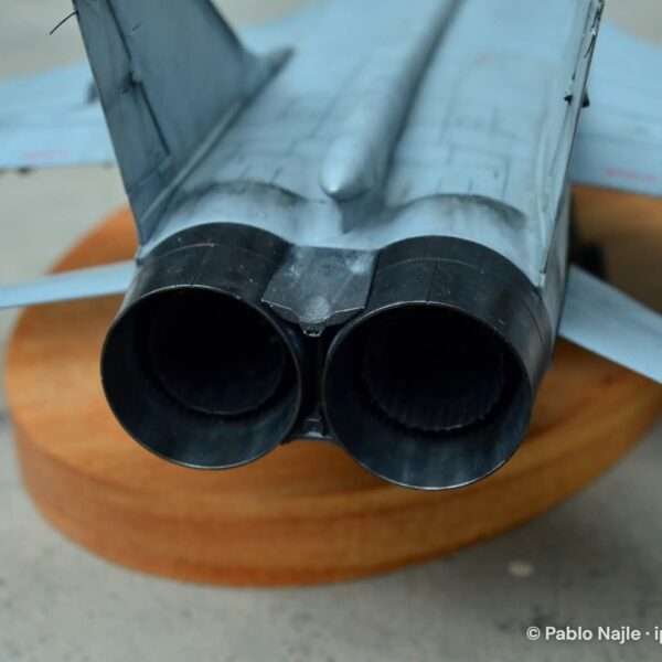 MiG-31BM – foto 6