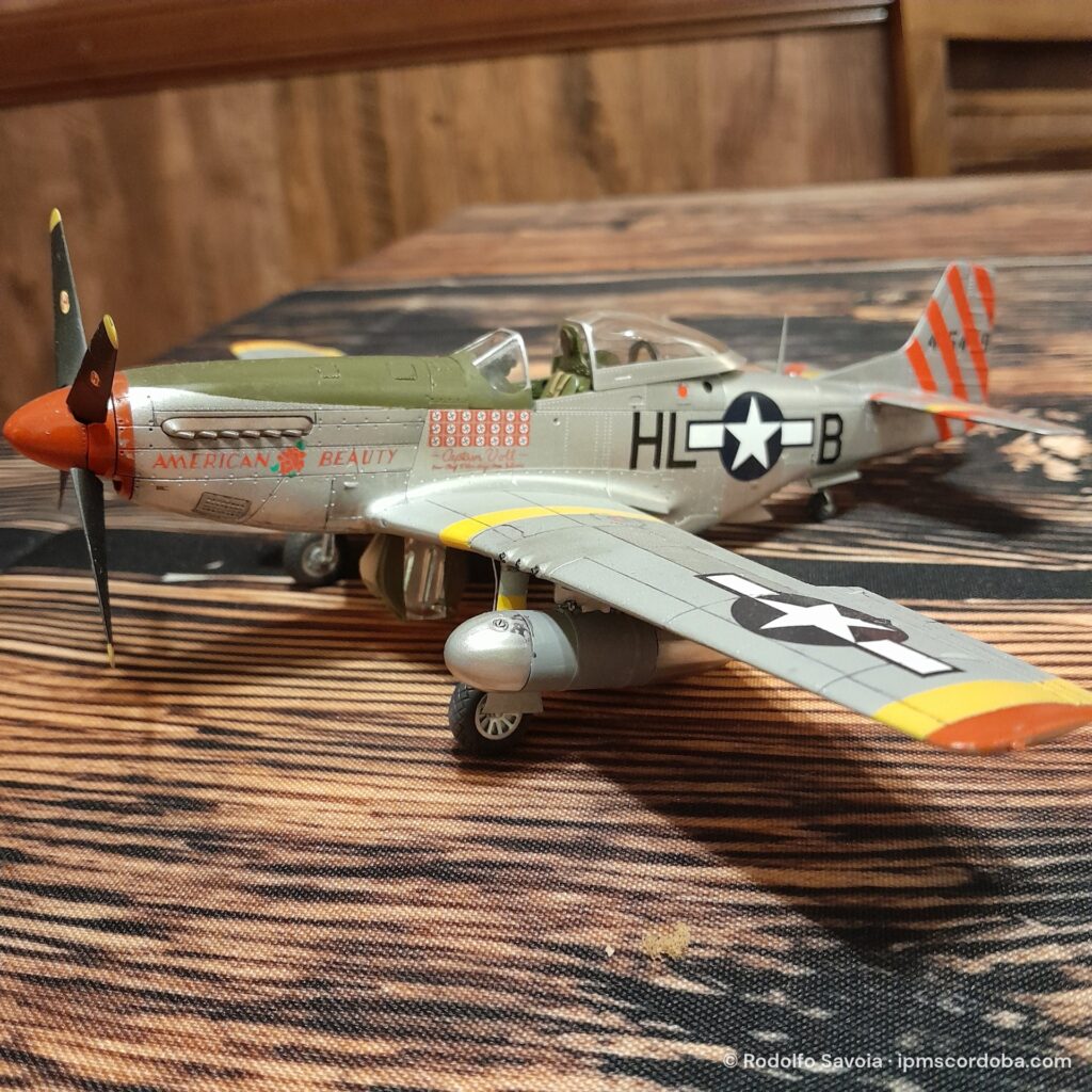 NA P51 D – foto 1