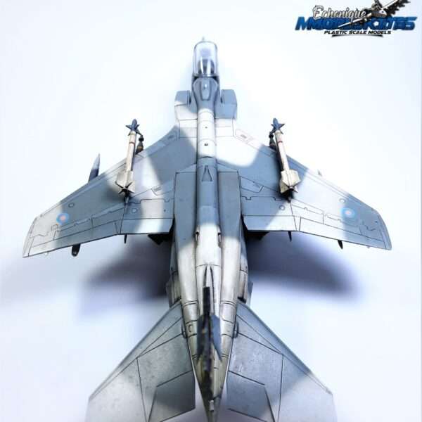 SEPECAT JAGUAR – foto 10