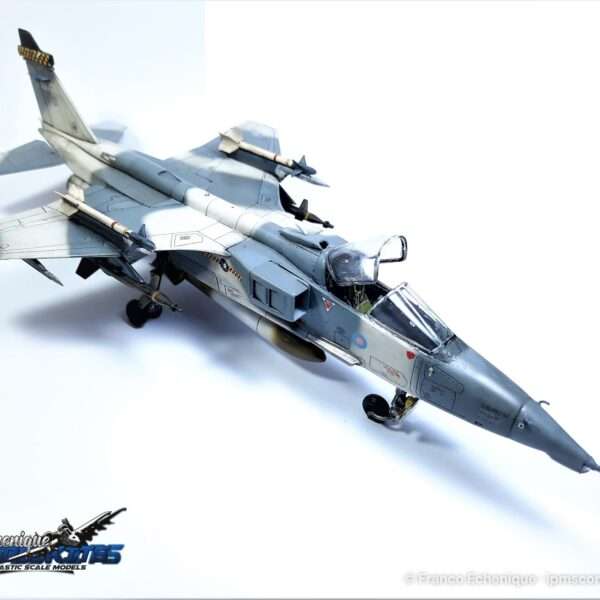 SEPECAT JAGUAR – foto 7
