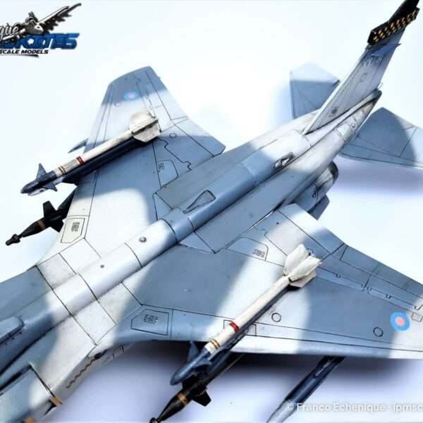 SEPECAT JAGUAR – foto 8