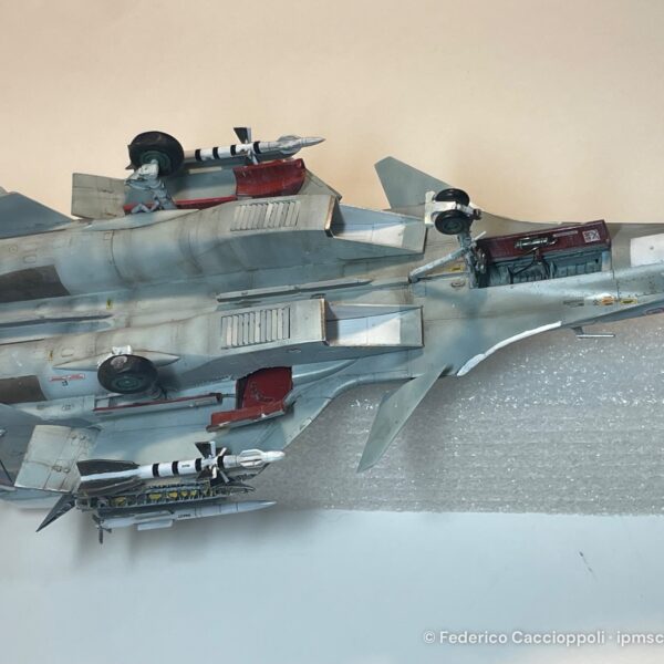 Su-33 hasegawa – foto 5