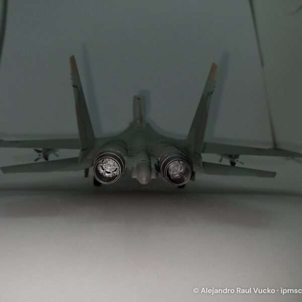 Sukhoi Su-27D – foto 5