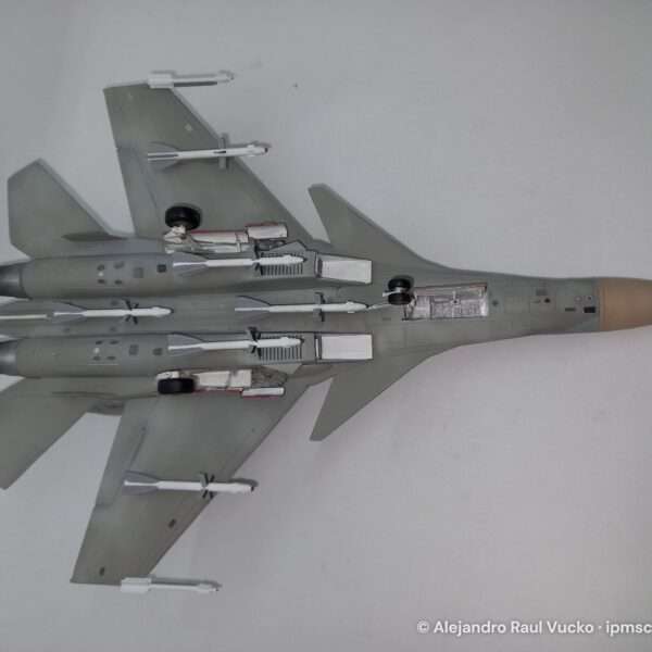 Sukhoi Su-27D – foto 7